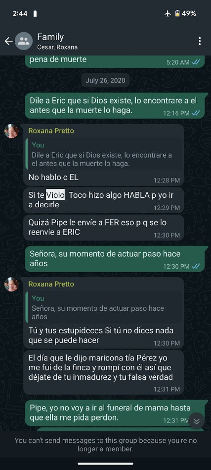 [EVIDENCE: FAMILY GROUP CHAT]