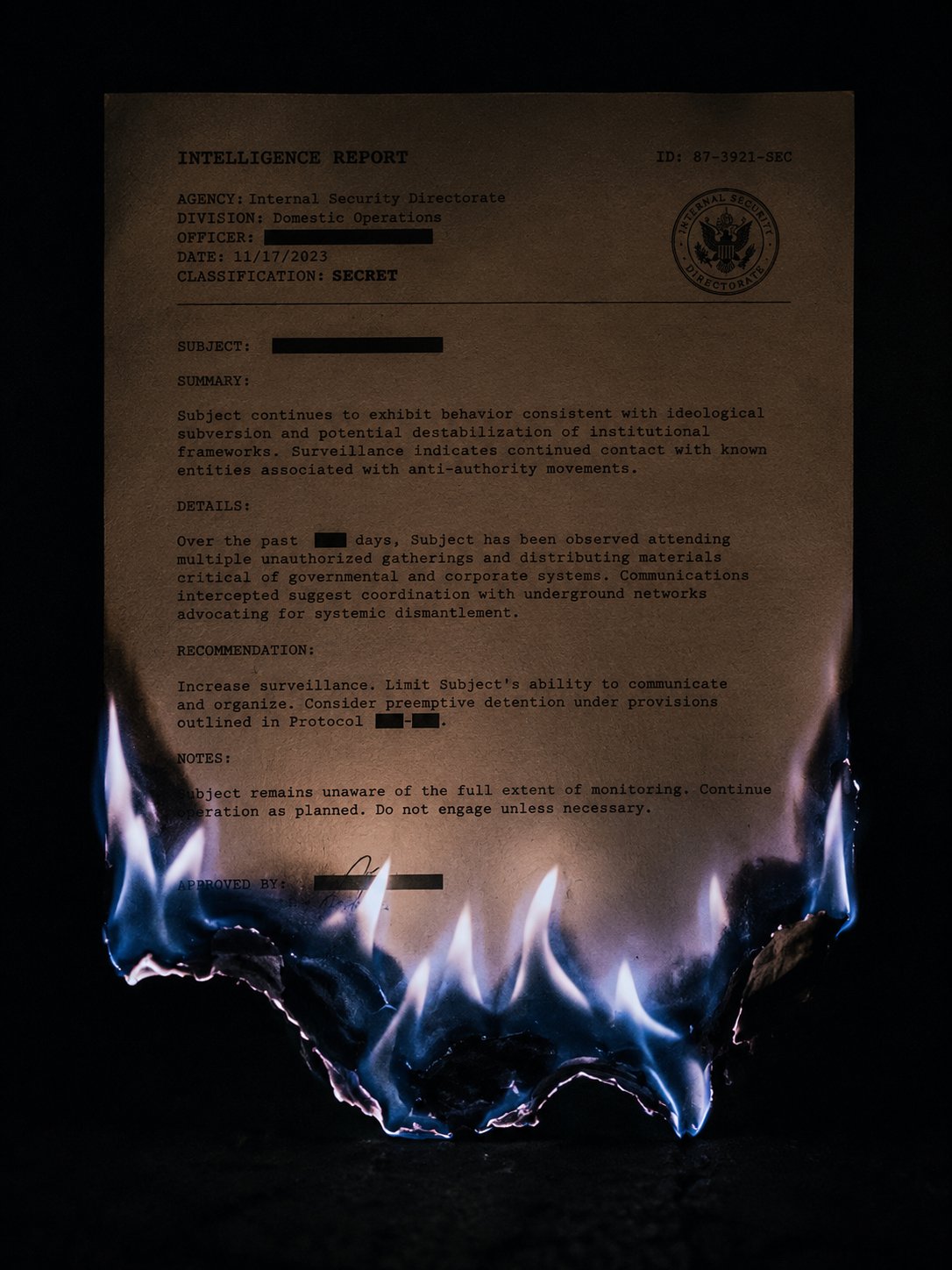 [INTELLIGENCE REPORT — BURNING]